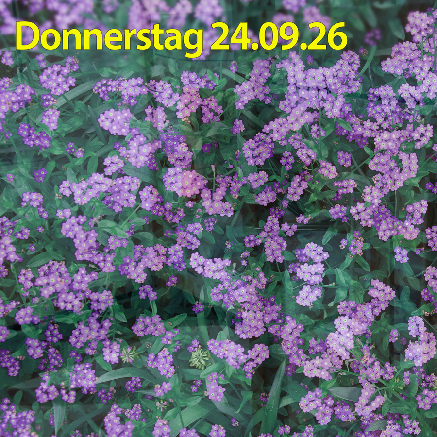 Donnerstag 24.09.