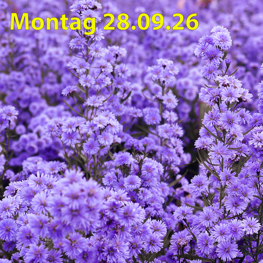 Montag 28.09.