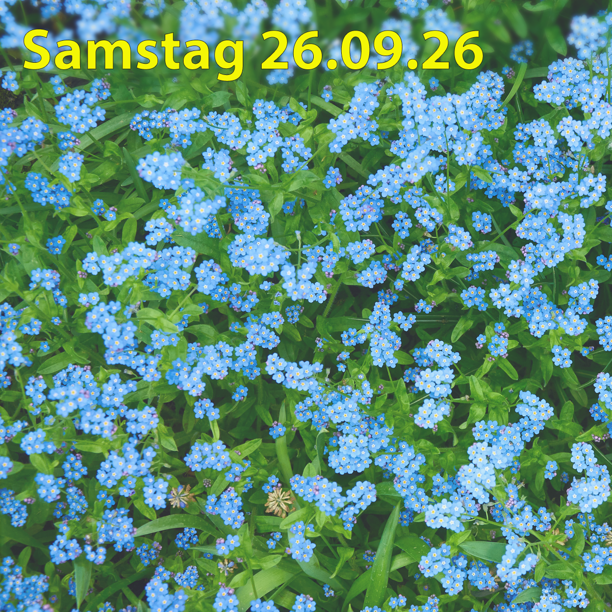 Samstag 26.09.