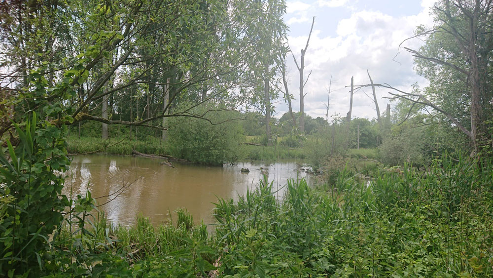 Wald und See, Naturschutzgebiet im Düsseldorfer Süden