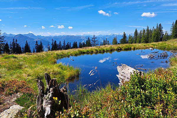 Ausblick vom See über die Berge · Wandertage Filmoos 2025