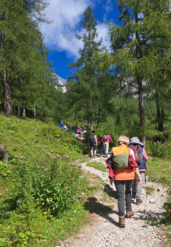 Gruppe auf der Wanderung im Wald · Bilder vom Sonntag Wandertage Filmoos 2025