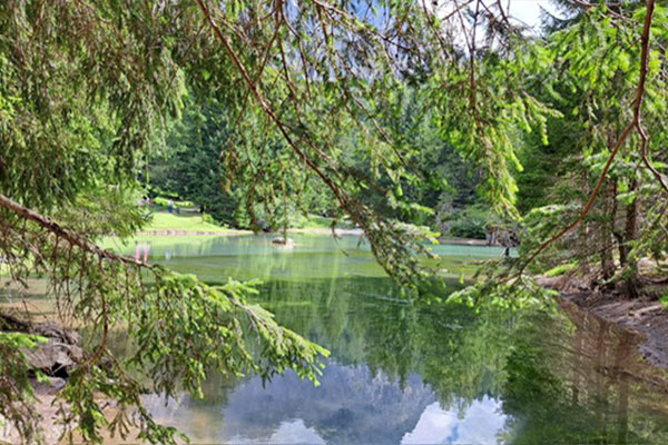 Almsee hiter Bäumen · Bilder vom Sonntag Wandertage Filmoos 2025