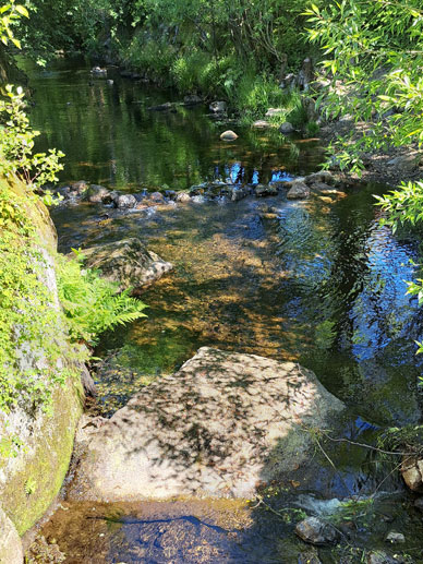 Danke & Erlebnisse Harz-Tagung