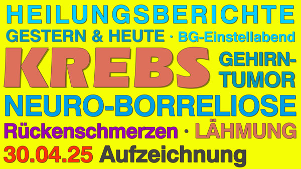 Zoom Meeting Bruno Gröning Aufzeichnungen Einstellen 30.04.2025